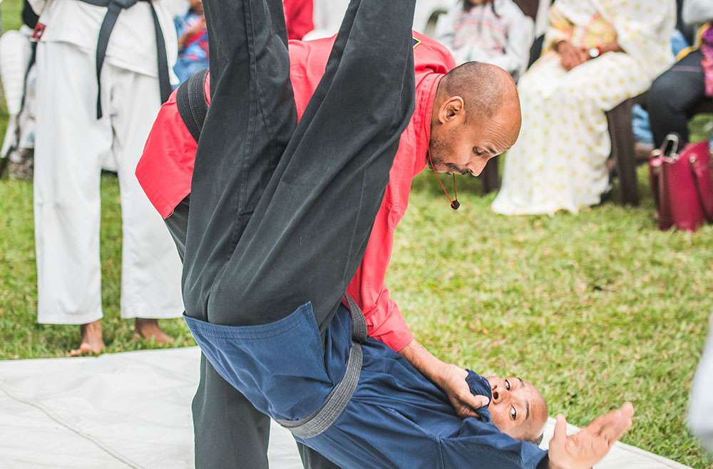 Traditional Martial Arts